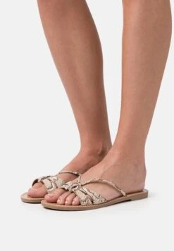 Anna Field Muiltjes - Brown